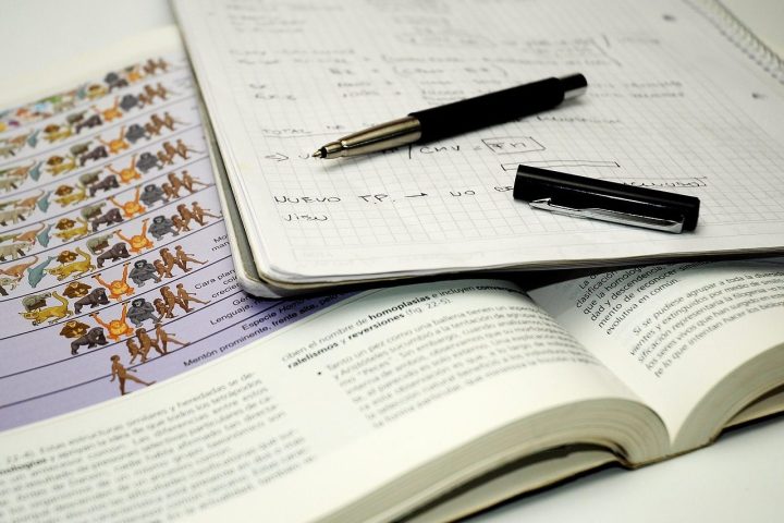 A calm plan for exam season